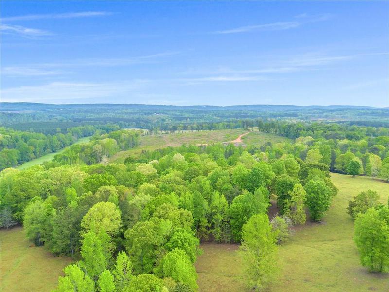 Image for property 2450 Chestnut Grove Road, Shiloh, GA 31826