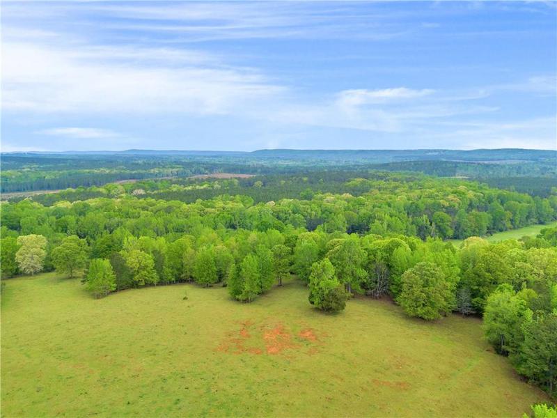 Image for property 2450 Chestnut Grove Road, Shiloh, GA 31826