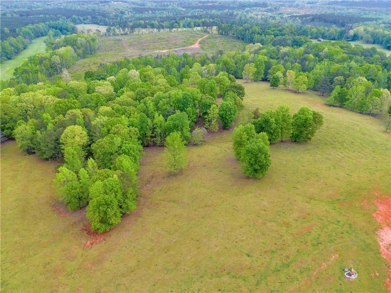 Image for property 2450 Chestnut Grove Road, Shiloh, GA 31826