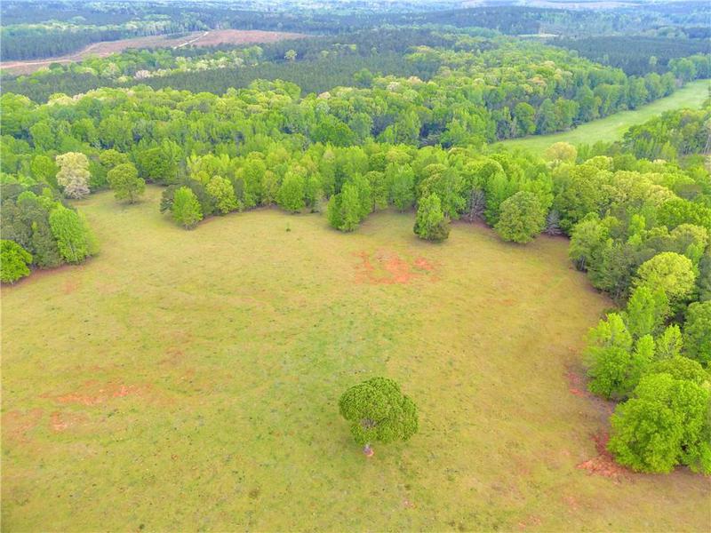 Image for property 2450 Chestnut Grove Road, Shiloh, GA 31826