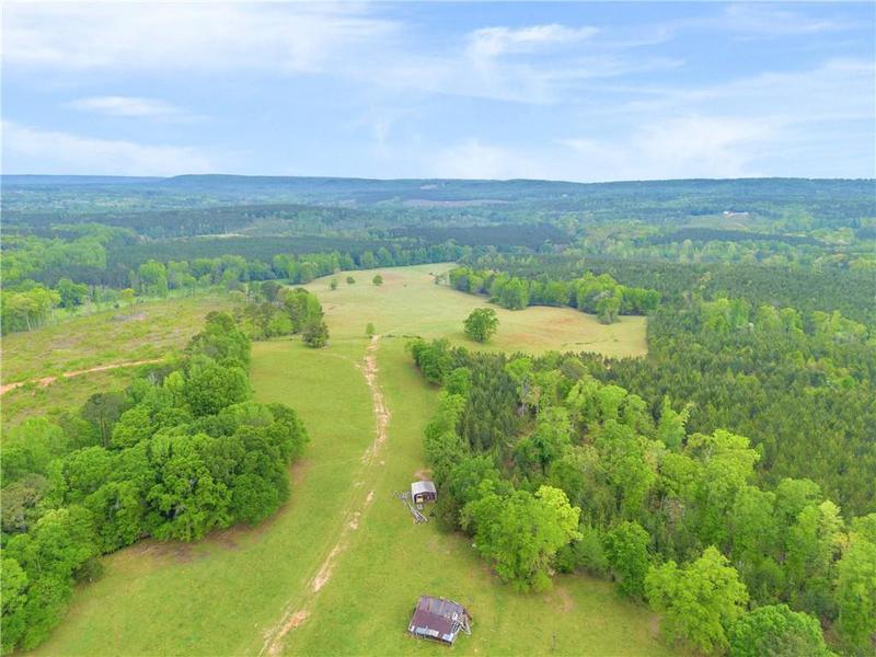 Image for property 2450 Chestnut Grove Road, Shiloh, GA 31826
