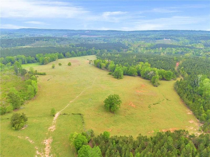 Image for property 2450 Chestnut Grove Road, Shiloh, GA 31826