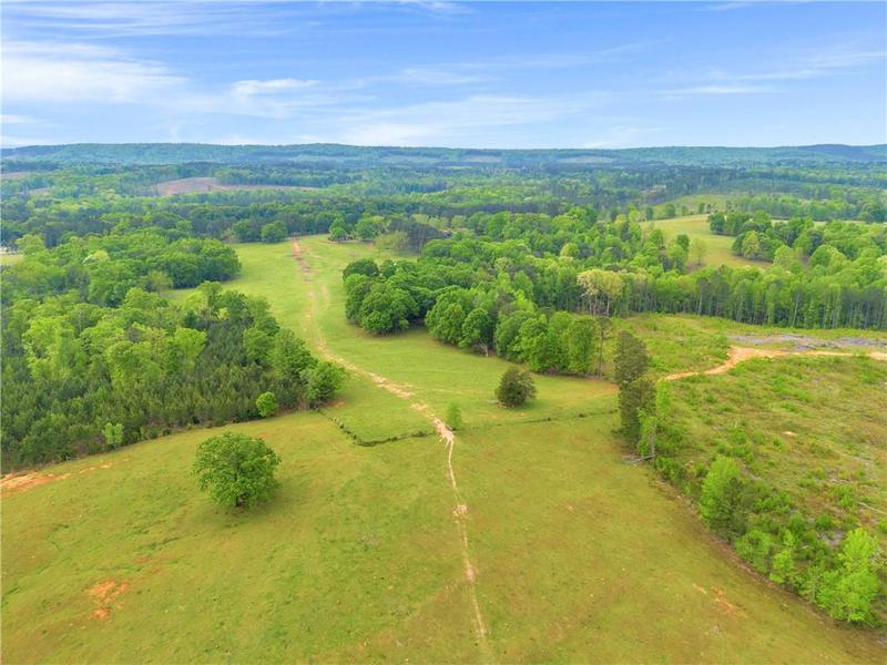 Image for property 2450 Chestnut Grove Road, Shiloh, GA 31826
