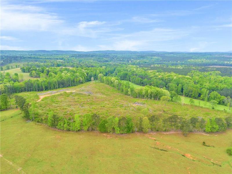 Image for property 2450 Chestnut Grove Road, Shiloh, GA 31826