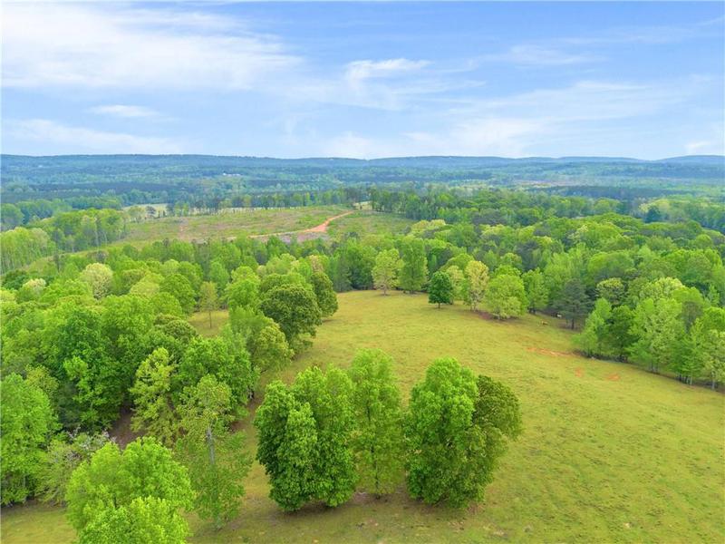 Image for property 2450 Chestnut Grove Road, Shiloh, GA 31826