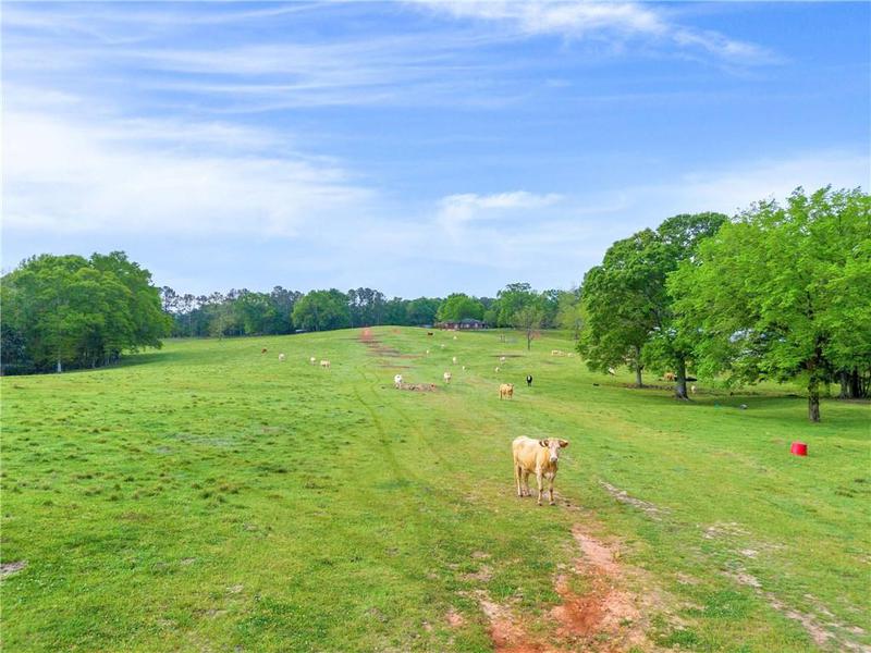 Image for property 2450 Chestnut Grove Road, Shiloh, GA 31826