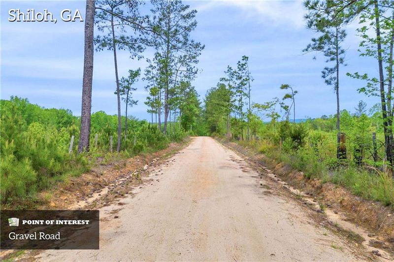 Image for property 2450 Chestnut Grove Road, Shiloh, GA 31826