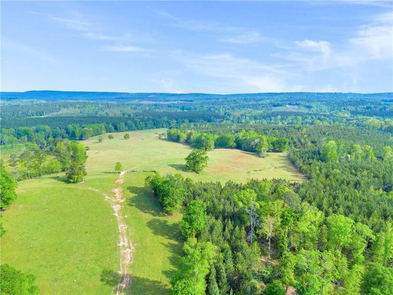 Image for property 2450 Chestnut Grove Road, Shiloh, GA 31826