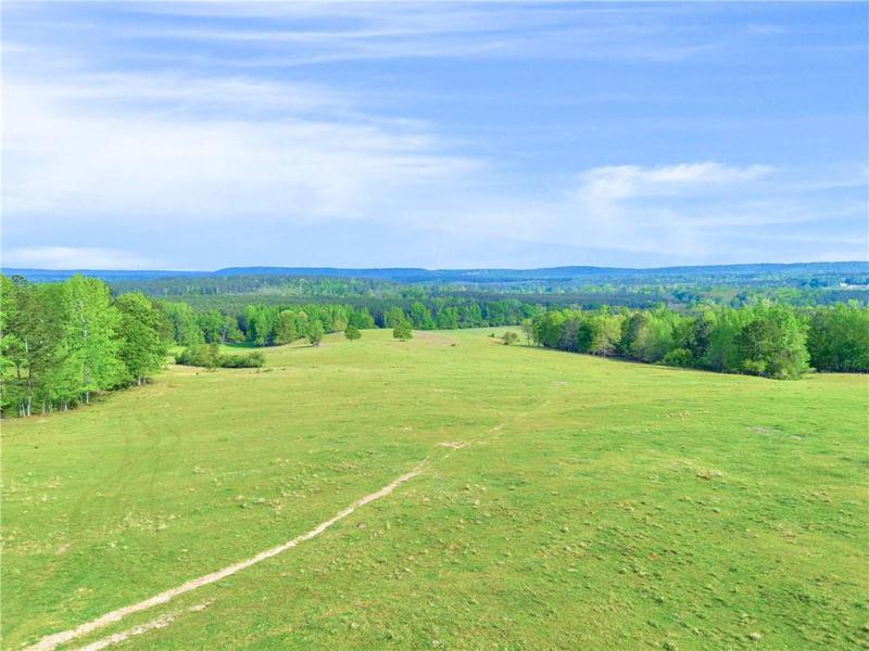 Image for property 2450 Chestnut Grove Road, Shiloh, GA 31826