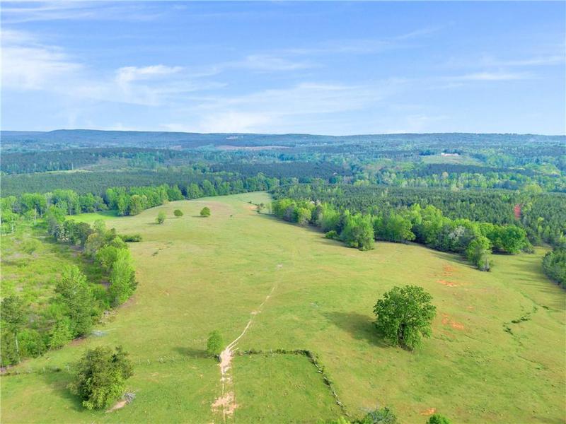 Image for property 2450 Chestnut Grove Road, Shiloh, GA 31826