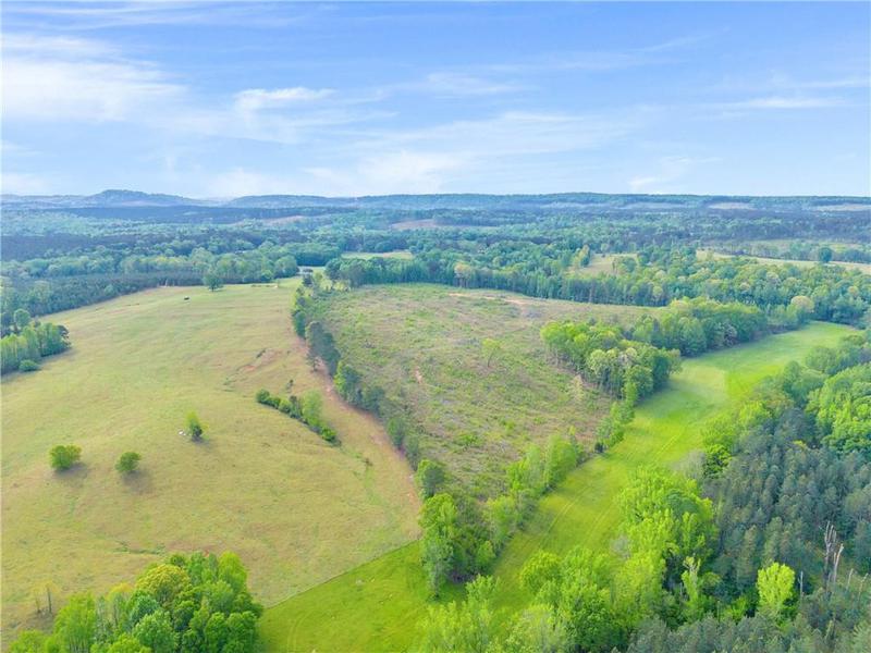 Image for property 2450 Chestnut Grove Road, Shiloh, GA 31826