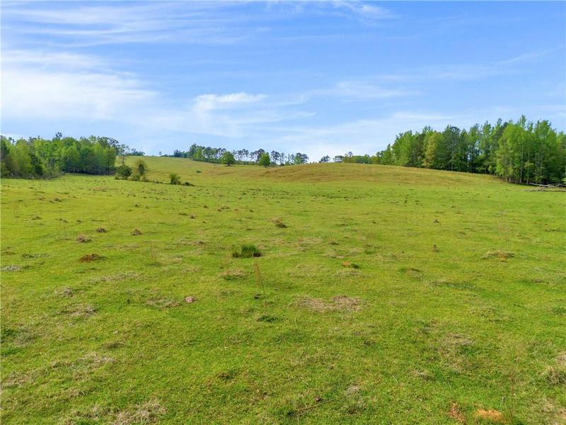 Image for property 2450 Chestnut Grove Road, Shiloh, GA 31826