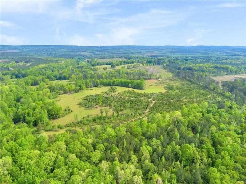 Image for property 2450 Chestnut Grove Road, Shiloh, GA 31826
