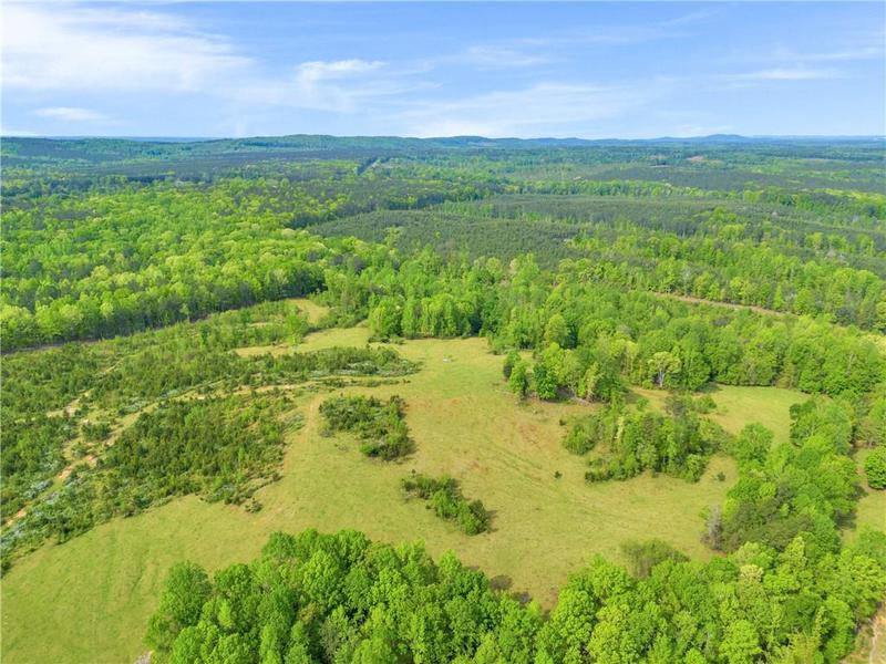Image for property 2450 Chestnut Grove Road, Shiloh, GA 31826