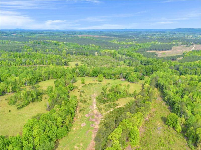Image for property 2450 Chestnut Grove Road, Shiloh, GA 31826