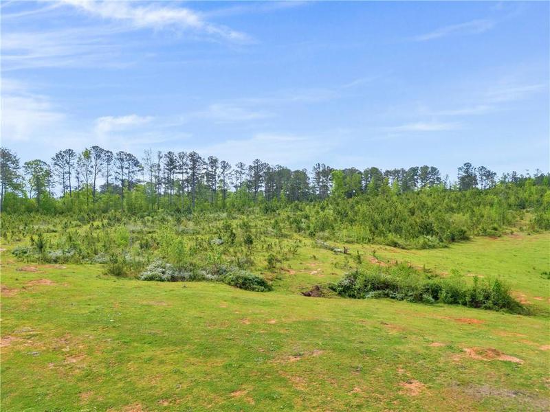 Image for property 2450 Chestnut Grove Road, Shiloh, GA 31826