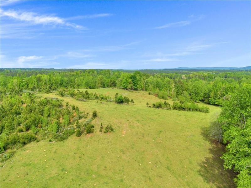 Image for property 2450 Chestnut Grove Road, Shiloh, GA 31826