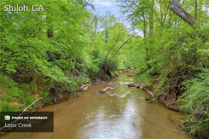 Image for property 2450 Chestnut Grove Road, Shiloh, GA 31826