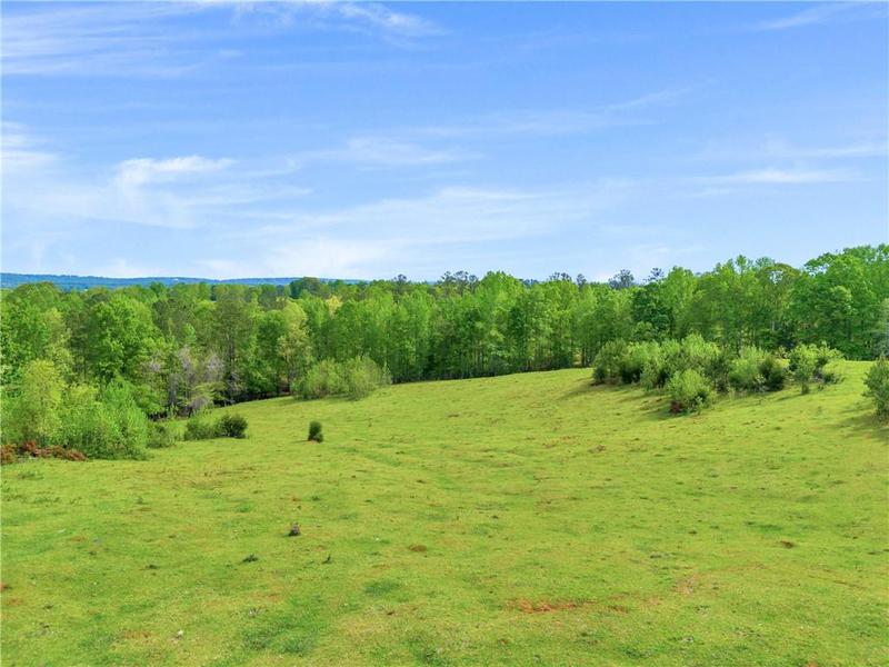 Image for property 2450 Chestnut Grove Road, Shiloh, GA 31826