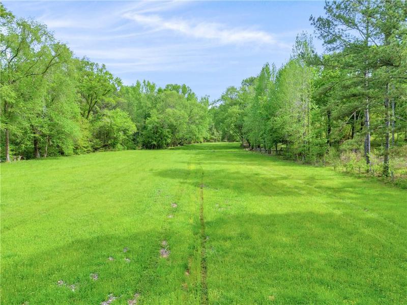 Image for property 2450 Chestnut Grove Road, Shiloh, GA 31826