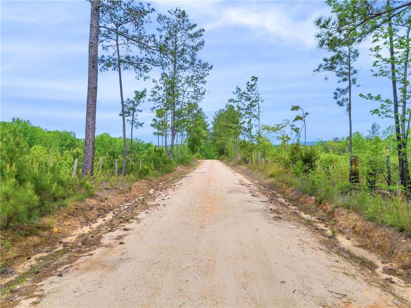 Image for property 2450 Chestnut Grove Road, Shiloh, GA 31826