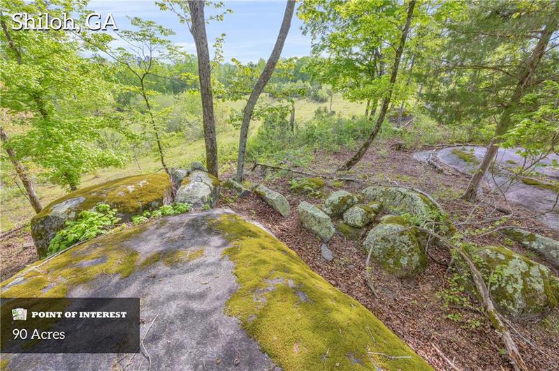 Image for property 2450 Chestnut Grove Road, Shiloh, GA 31826
