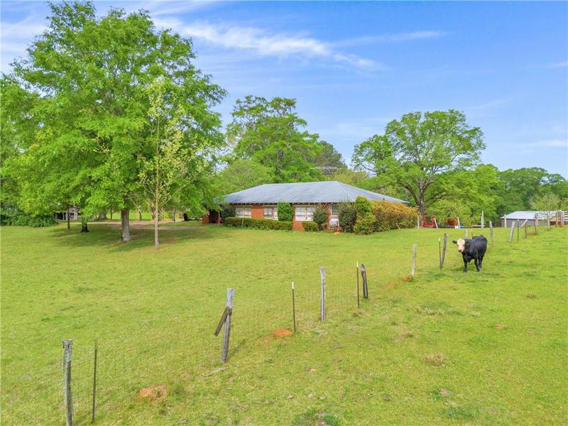 Image for property 2450 Chestnut Grove Road, Shiloh, GA 31826