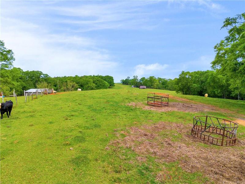 Image for property 2450 Chestnut Grove Road, Shiloh, GA 31826