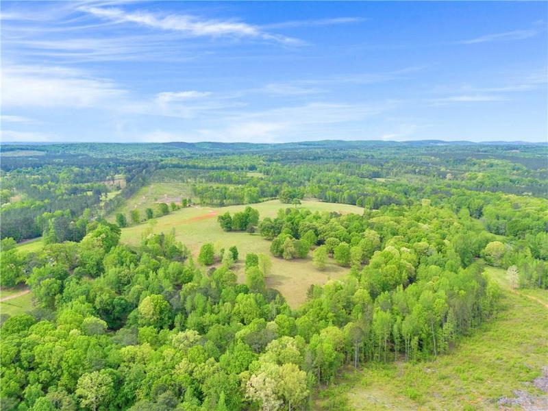 Image for property 2450 Chestnut Grove Road, Shiloh, GA 31826