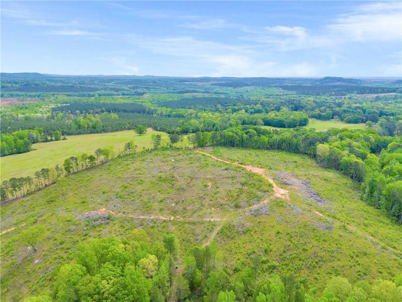 Image for property 2450 Chestnut Grove Road, Shiloh, GA 31826