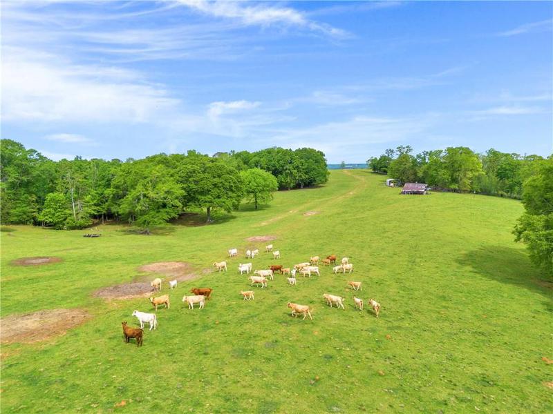 Image for property 2450 Chestnut Grove Road, Shiloh, GA 31826