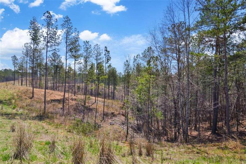 Image for property 150 Blalock Mountain Road, Talking Rock, GA 30175