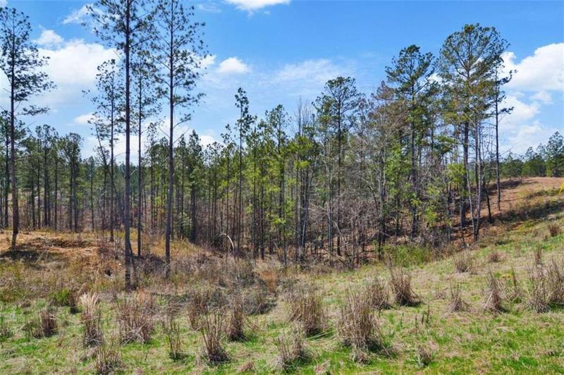 Image for property 150 Blalock Mountain Road, Talking Rock, GA 30175