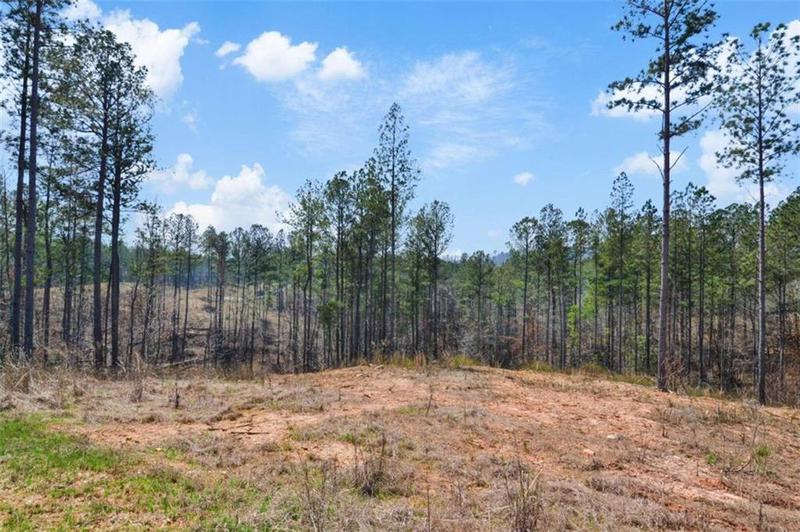 Image for property 150 Blalock Mountain Road, Talking Rock, GA 30175