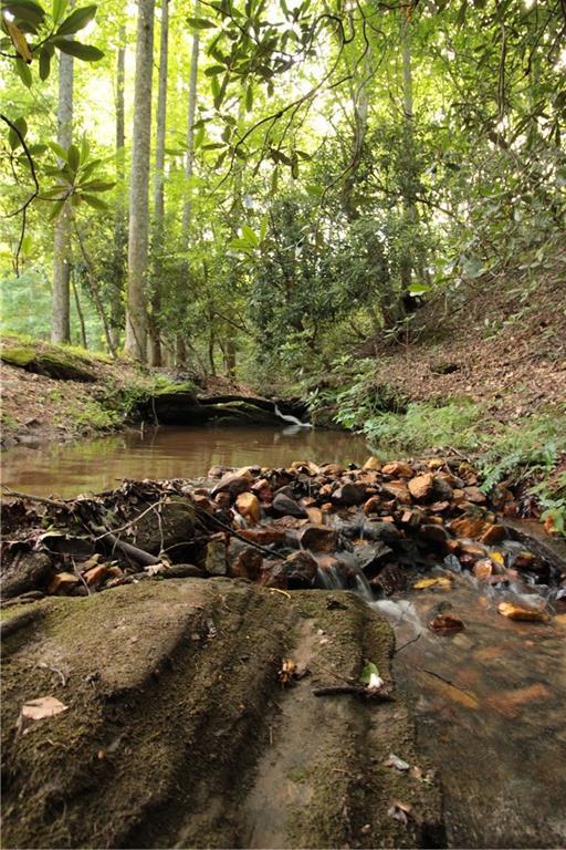 Image for property 2889 Old Parker Place Road, Ellijay, GA 30536