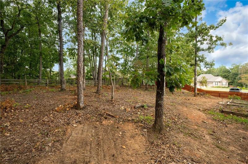 Image for property 41 Mountain Pointe Drive, Ball Ground, GA 30107
