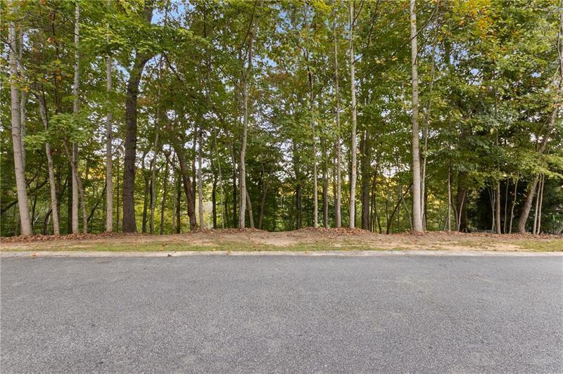 Image for property Lot 4 Fredericks Cv, Dawsonville, GA 30534
