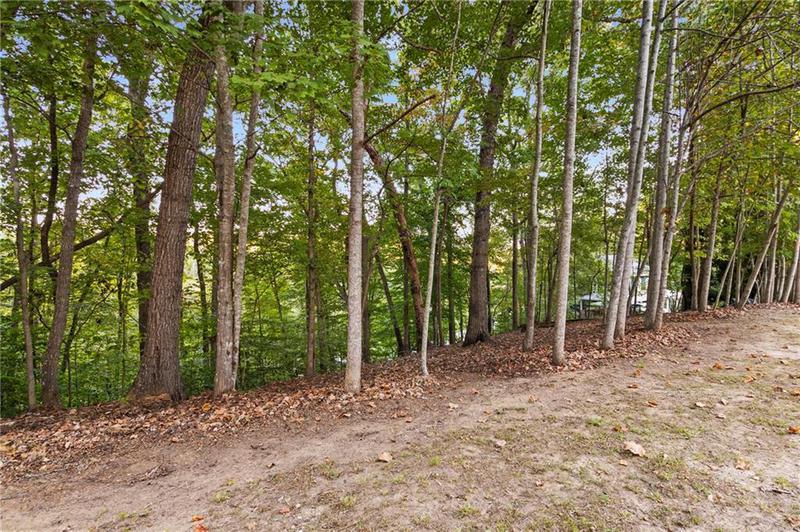 Image for property Lot 4 Fredericks Cv, Dawsonville, GA 30534