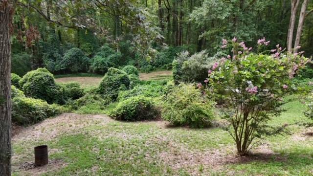 Image for property 8114 Knight Lane, Gainesville, GA 30506