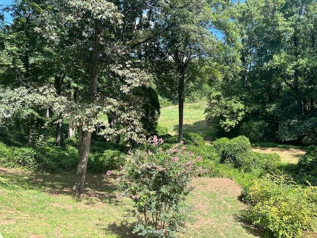 Image for property 8114 Knight Lane, Gainesville, GA 30506