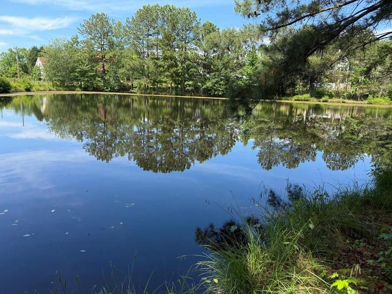 Image for property 3136 Camp Branch Road, Buford, GA 30519