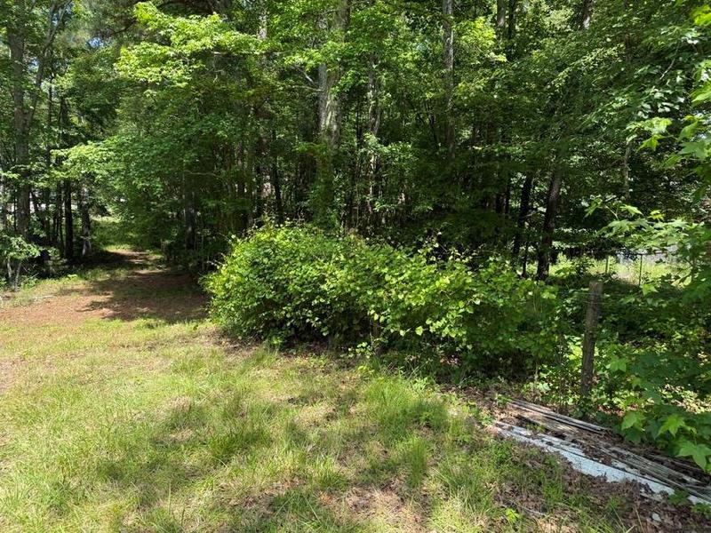 Image for property 3136 Camp Branch Road, Buford, GA 30519