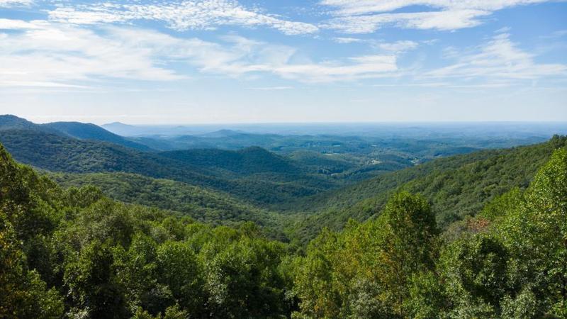 Image for property 239 Glenn Elliott Road, Dahlonega, GA 30533