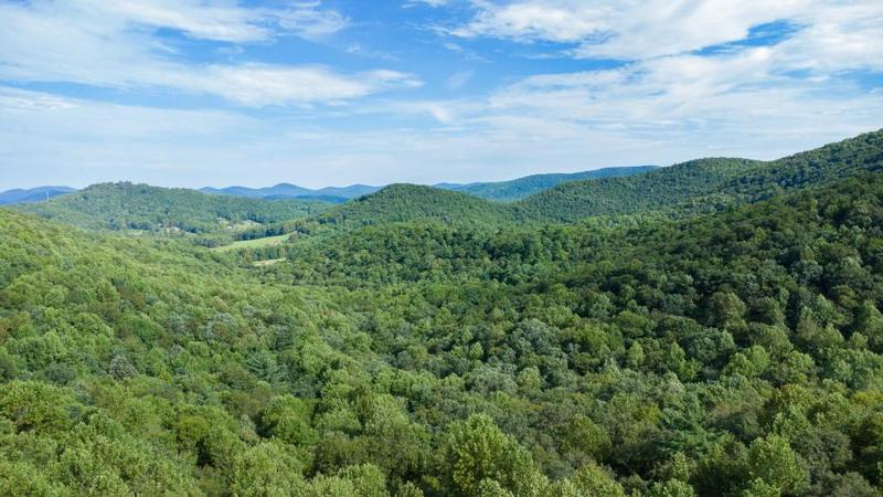 Image for property 239 Glenn Elliott Road, Dahlonega, GA 30533