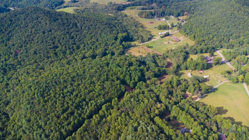 Image for property 239 Glenn Elliott Road, Dahlonega, GA 30533