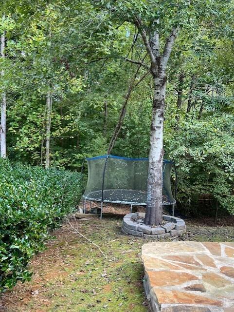 Image for property 345 Meadows Lane, Canton, GA 30114