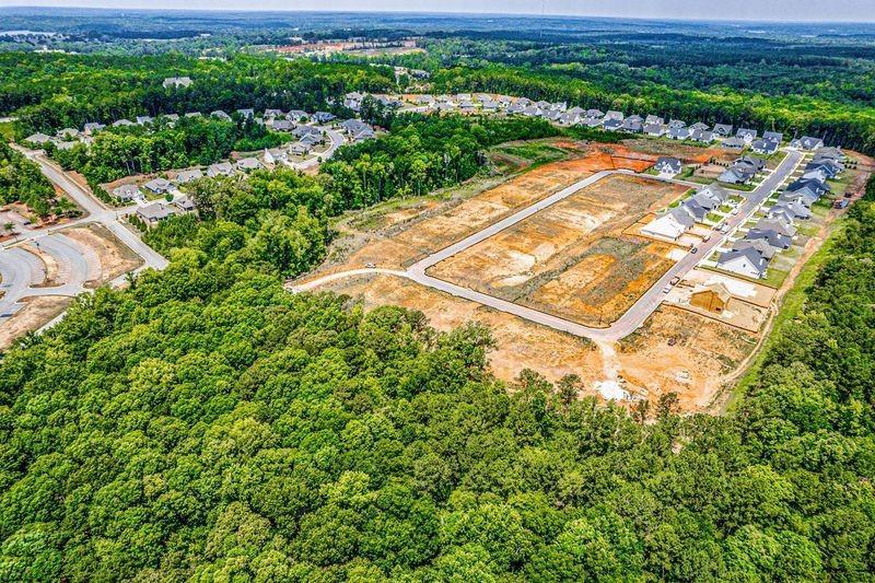 Image for property 1341 Legend Drive, Greensboro, GA 30642