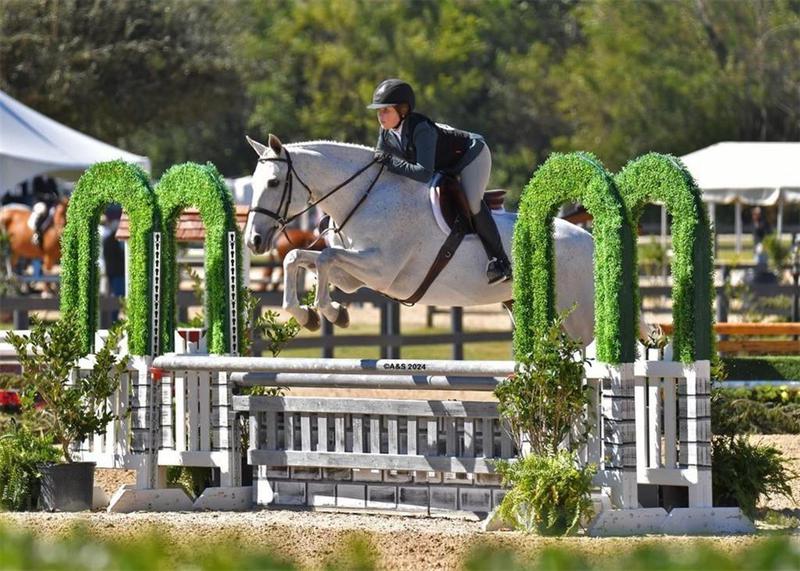 Image for property 531 Main Street 330, Alpharetta, GA 30009