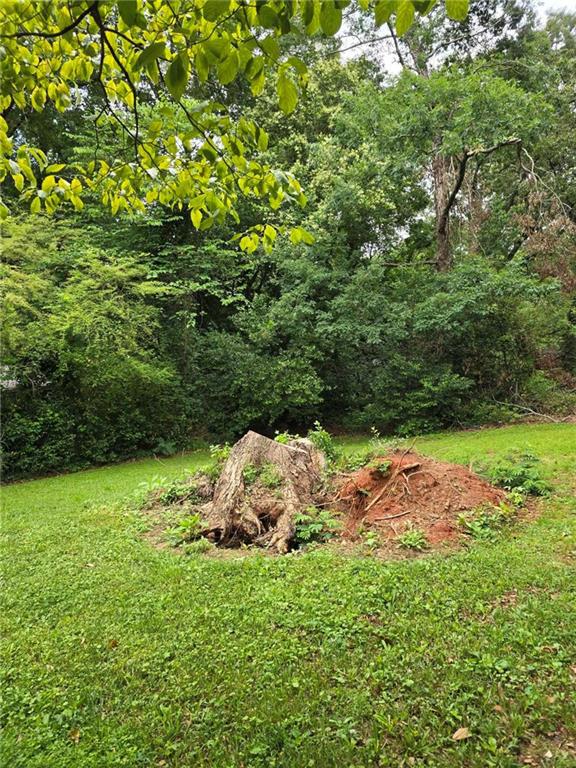 Image for property 2074 Miriam Lane, Decatur, GA 30032