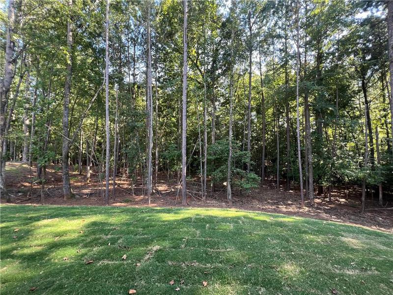 Image for property 2795 Roller Mill Drive, Jefferson, GA 30549